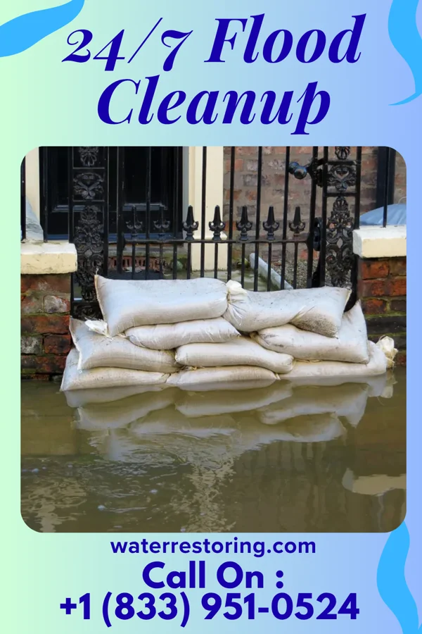 24/7 Flood Cleanup in Morley, MO