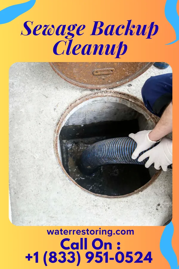 Sewage Backup Cleanup in Morley, MO
